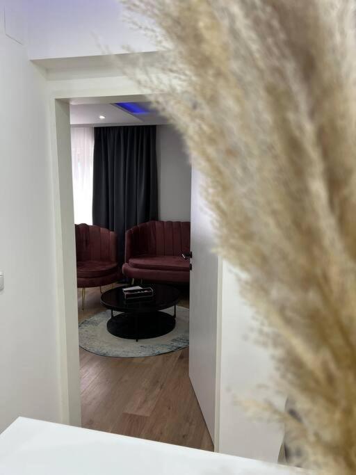 Traum Wohnung Mit Kingsize-Bett Грац Екстериор снимка